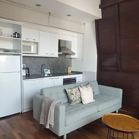 Apartamento Passeig De Gràcia Luxury